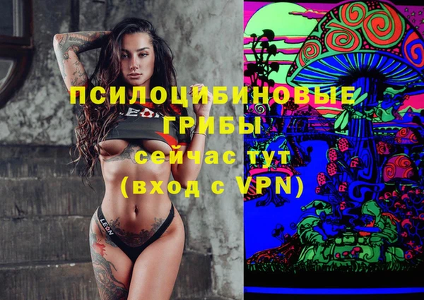 кокс Абаза