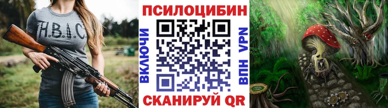 кракен вход  Тимашёвск  Псилоцибиновые грибы MAGIC MUSHROOMS 